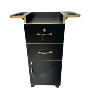 Carrito Auxiliar Ideal De Uso Exigente LAIVA